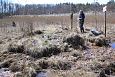 Tufa sediments in spring, Kiigumisa | Gallery Tufa forming spring, Vormsi, april 2014 