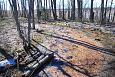 Tufa sediments in spring, Kiigumisa | Gallery Spring on island, lake Prstviki, Vormsi, April 201