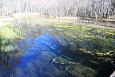 Tufa sediments in spring, Kiigumisa | Gallery Suurallikas, Vormsi, April 2014 