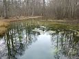 Tufa sediments in spring, Kiigumisa | Gallery Suurallikas, Vormsi, November 2014 