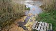 Tufa sediments in spring, Kiigumisa | Gallery Spring on the northern coas lake Prstviki, May 201