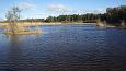 Common minnow (Phoxinus phoxinus) in spring, Kiigumisa, nov.. | Gallery Lake Prstvike, October 2