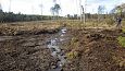 Tufa sediments in spring, Kiigumisa | Gallery Closed ditch, restored springfen, October 2016 