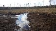 Tufa sediments in spring, Kiigumisa | Gallery Closed ditch, restored springfen, October 2016 