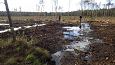 Tufa sediments in spring, Kiigumisa | Gallery Closed ditch, restored springfen, October 2016 