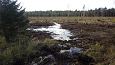 Tufa sediments in spring, Kiigumisa | Gallery Closed ditch, restored springfen, October 2016 