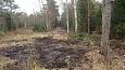 Tufa sediments, one of springs on Vormsi | Gallery Closed ditch, Viidume, October 2016 