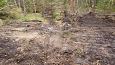 Tufa sediments in spring, Kiigumisa | Gallery Closed ditch, Viidume, October 2016 