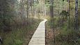 Closed ditch, restored springfen, October 2016 | Gallery Restored nature trail, Viidume, October 