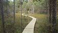 Lake Prstvike, October 2016 | Gallery Restored nature trail, Viidume, October 2016 