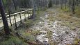 Tufa sediments in spring, Kiigumisa | Gallery Petrifying spring, Viidume, October 2016 