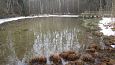 Tufa sediments in spring, Kiigumisa | Gallery Vormsi, Suurallikas (Great spring), February 2017 
