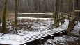 Tufa sediments in spring, Kiigumisa | Gallery Vormsi, Suurallikas (Great spring) and Allika trail