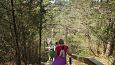 Tufa sediments in spring, Kiigumisa | Gallery Viidume, Allikasoo trail, 20th of May 2017 