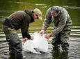 29.04.2023 P�rnu | Galerii Tuura asustamine Narva j�kke 