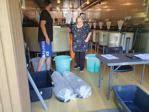 Tuurad saabuvad Saksamaalt haudejaamast vastsetena hapnikuga t�idetud kottides P�lulasse juunis-ju
